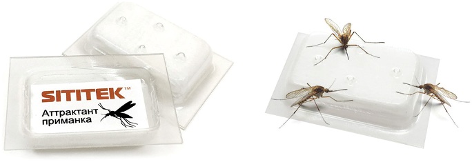 Аттрактант